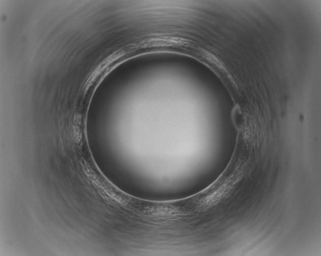 X0000054430786200508011356