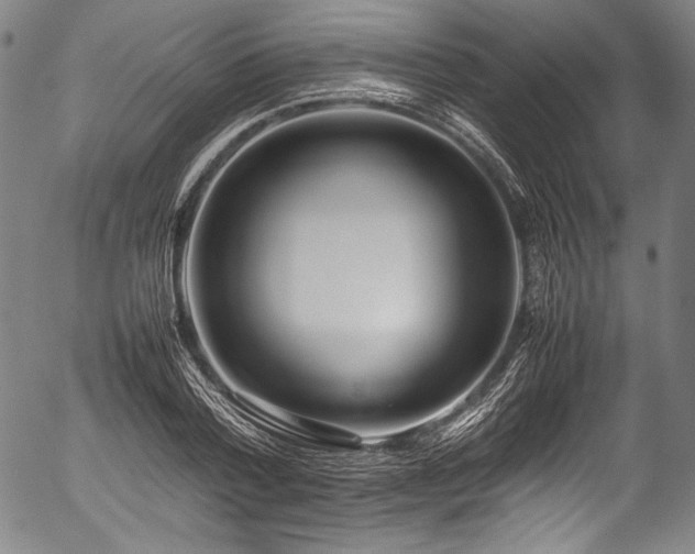 X0000054430788200508011356