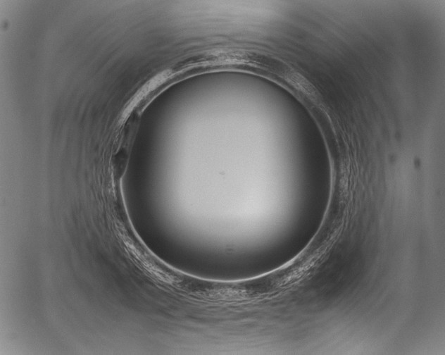 X0000054430789200508011356