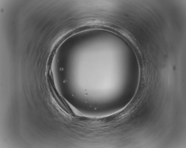 X0000054430791200508011356