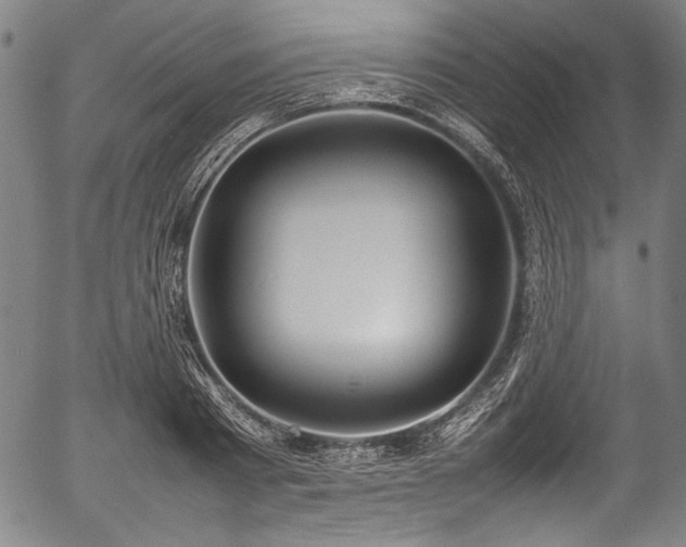 X0000054430793200508011356