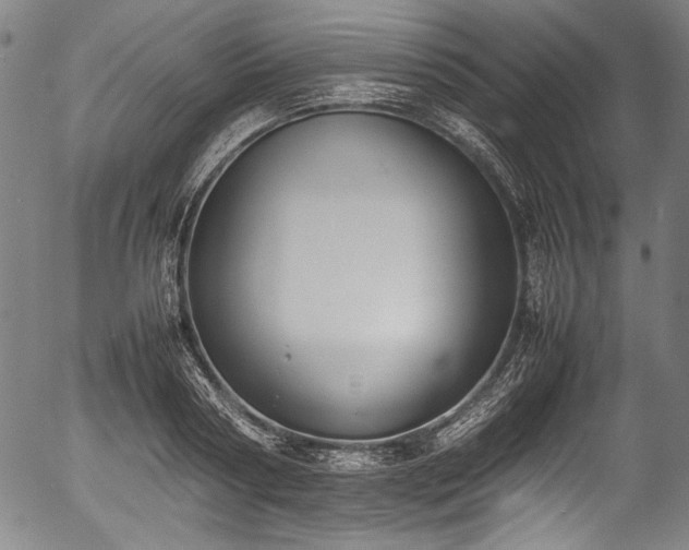 X0000054430794200508011356