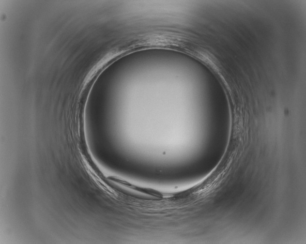 X0000054430795200508011356