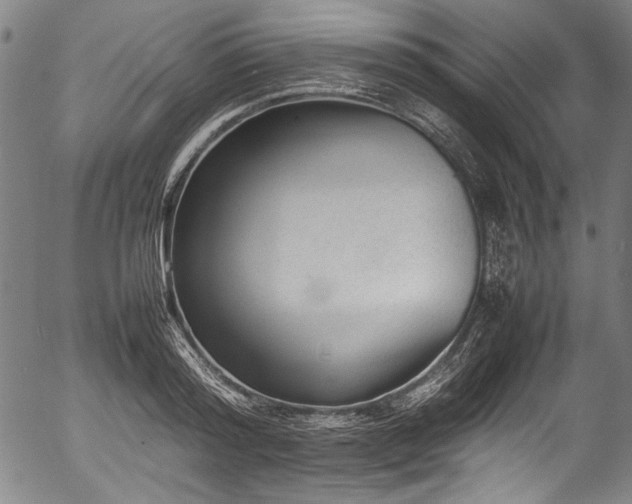 X0000054430796200508011356