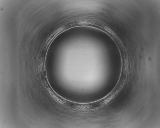 X0000054430801200508011356