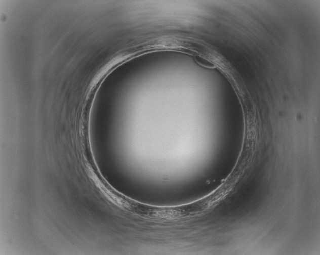 X0000054430803200508011356