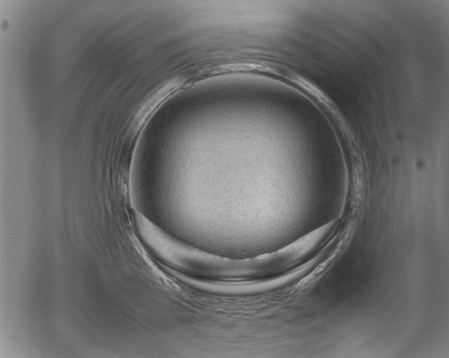 X0000054430809200508011356