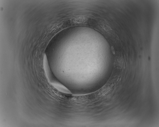 X0000054430817200508011355