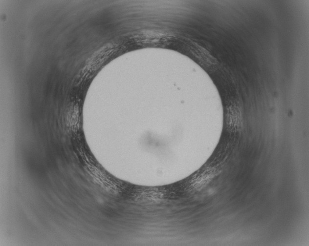 X0000054430820200508011355