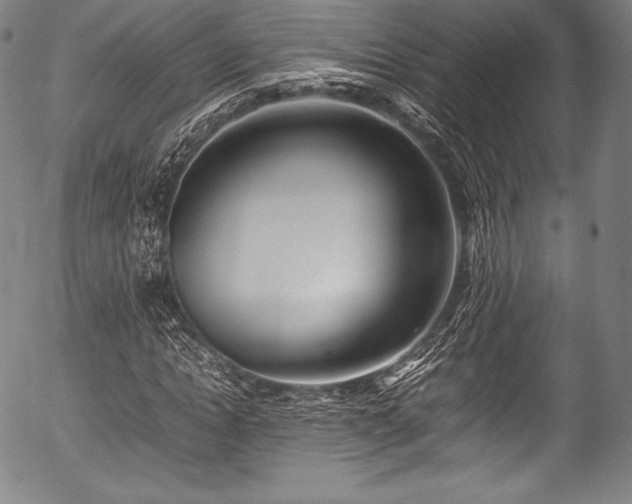 X0000054430822200508011355