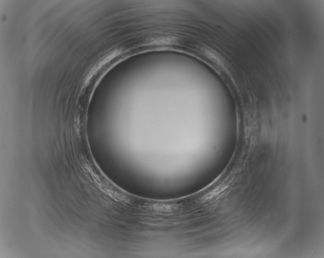 X0000054430827200508011355