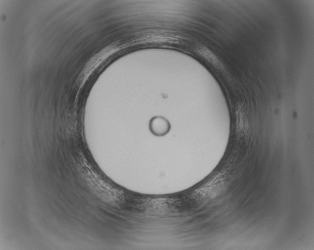 X0000054430828200508011355