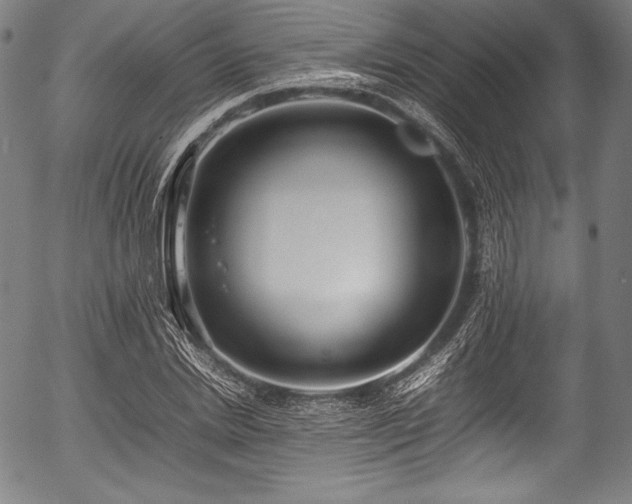 X0000054430830200508011355