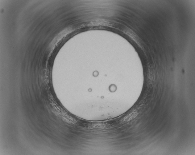 X0000054430832200508011355
