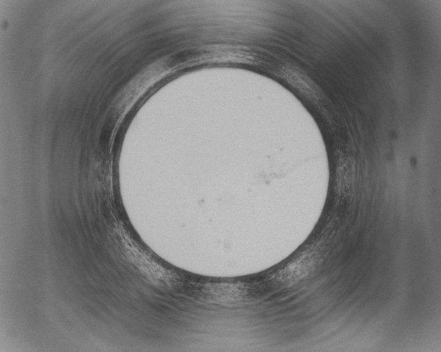 X0000054430836200508011355