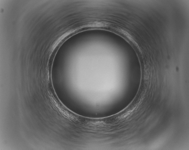 X0000054430837200508011355