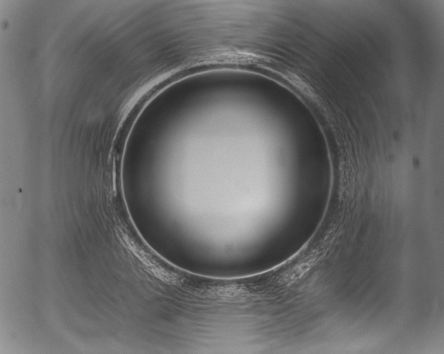 X0000054430838200508011355