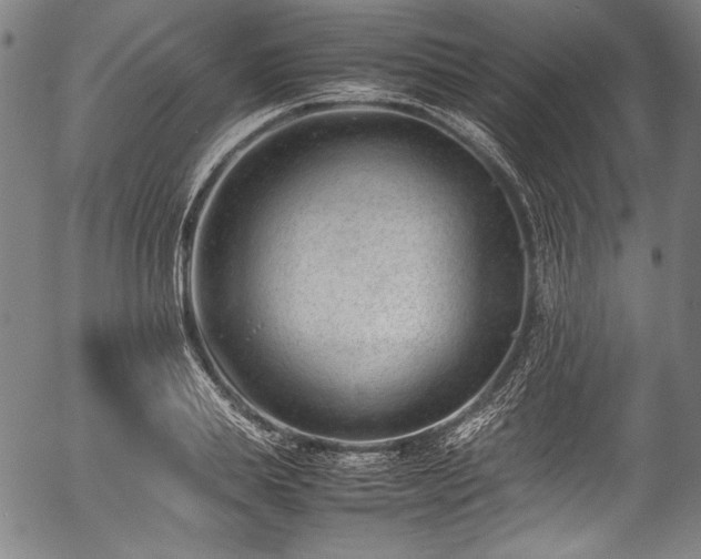 X0000054430839200508011355