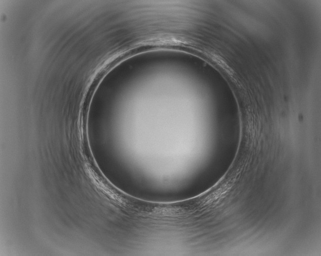 X0000054430840200508011355