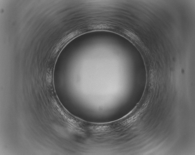 X0000054430841200508011355
