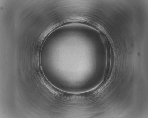 X0000054430842200508011355