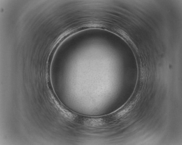 X0000054430845200508011355
