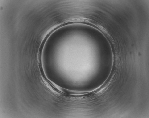 X0000054430846200508011355