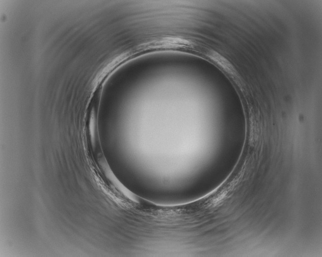 X0000054430850200508011355