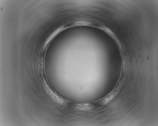 X0000054430859200508011356
