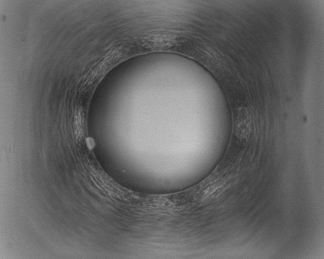 X0000054430866200508011355