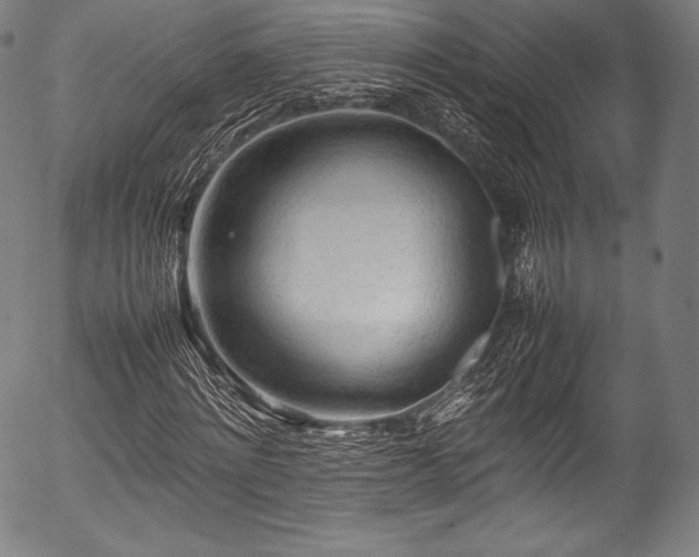 X0000054430868200508011355