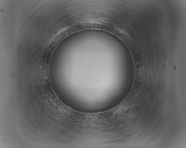 X0000054430870200508011355