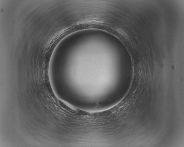 X0000054430872200508011355