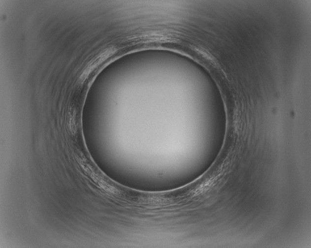 X0000054430873200508011355