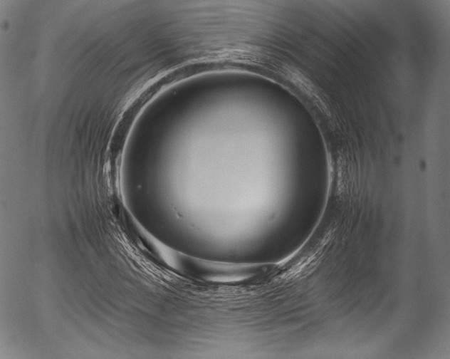 X0000054430876200508011355