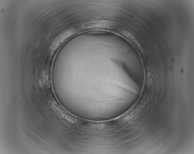 X0000054430882200508011354