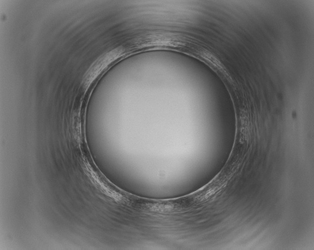 X0000054430890200508011354