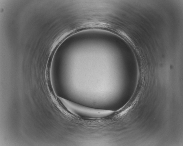 X0000054430893200508011354