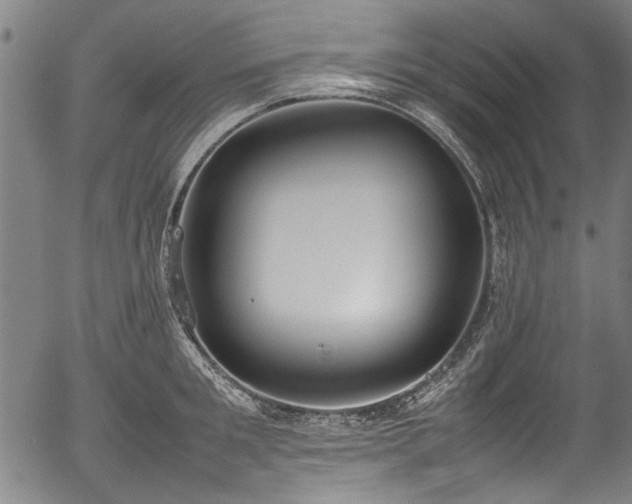 X0000054430901200508011354