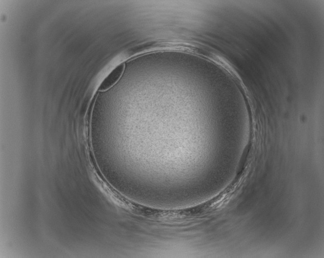 X0000054430907200508011354