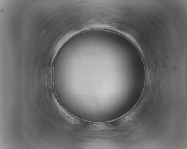 X0000054430911200508011354