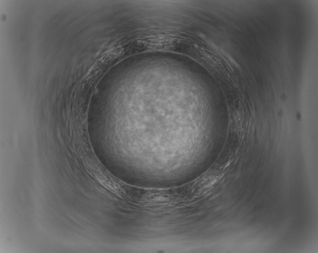 X0000054430913200508011353