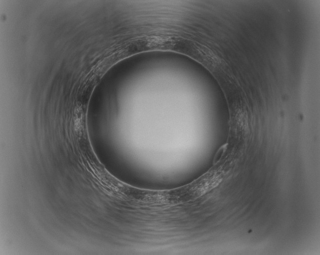 X0000054430914200508011353