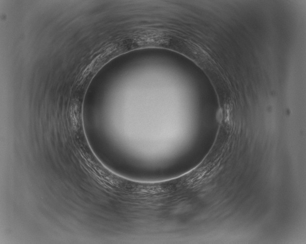 X0000054430915200508011353