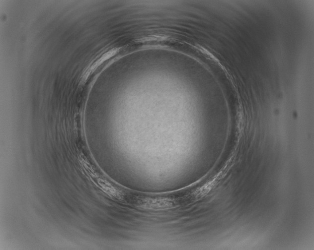 X0000054430921200508011353