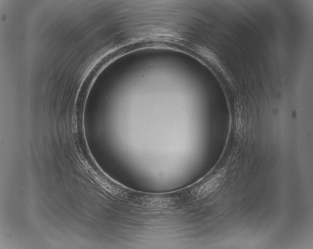 X0000054430924200508011353