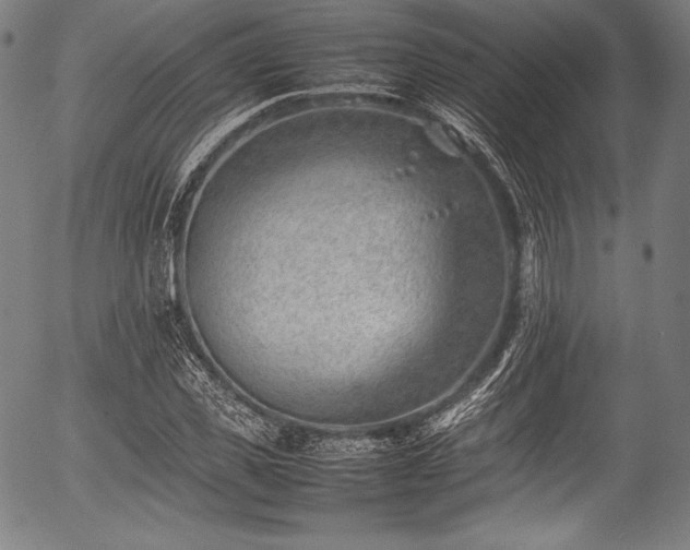 X0000054430925200508011353