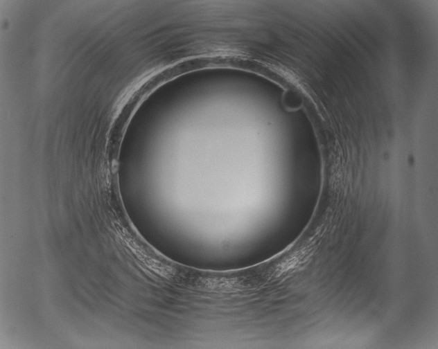 X0000054430927200508011353