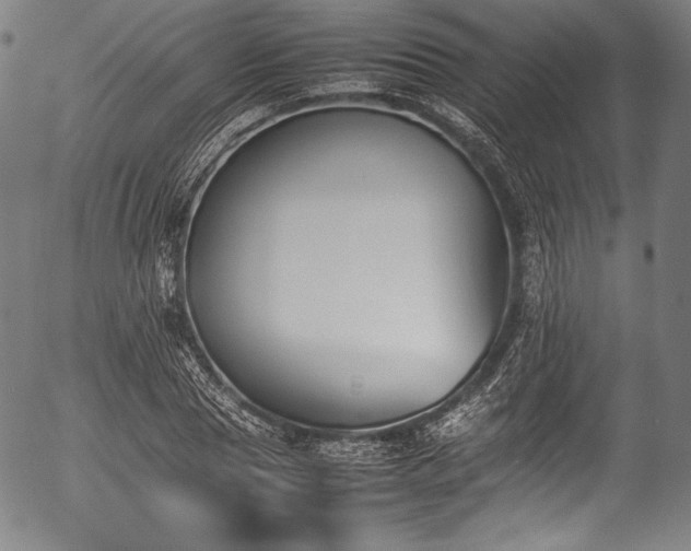 X0000054430929200508011353