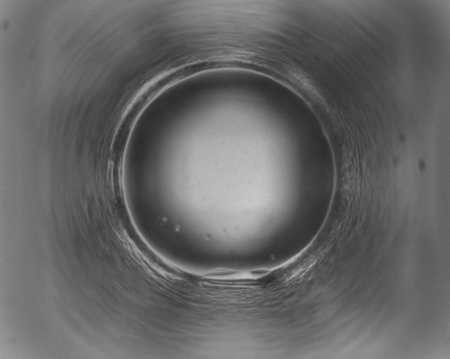 X0000054430932200508011353